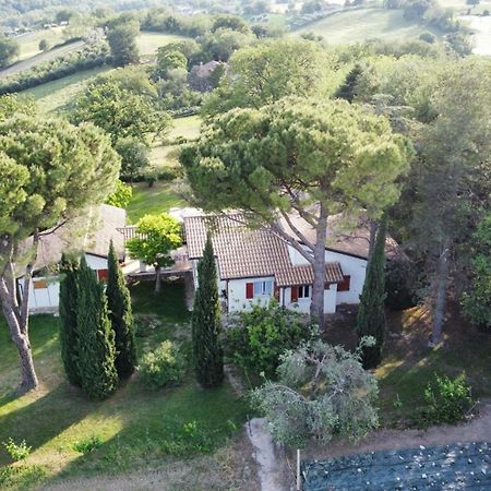 La Villa Del Nonno Montefelcino ภายนอก รูปภาพ