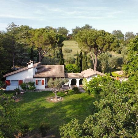 La Villa Del Nonno Montefelcino ภายนอก รูปภาพ