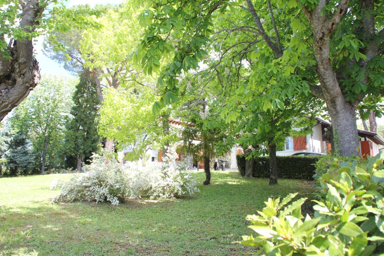 La Villa Del Nonno Montefelcino ภายนอก รูปภาพ