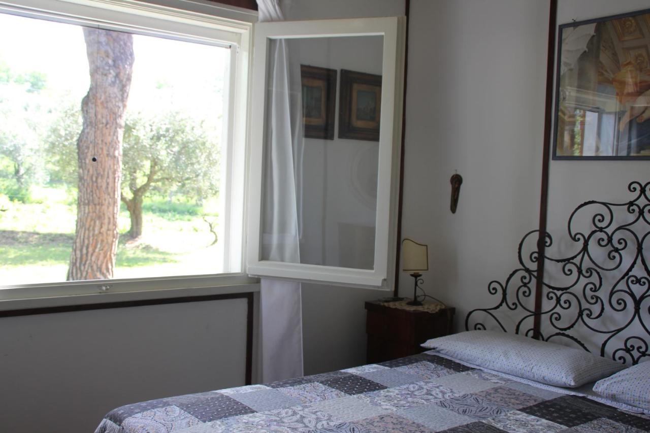 La Villa Del Nonno Montefelcino ภายนอก รูปภาพ