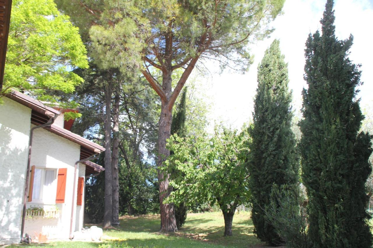 La Villa Del Nonno Montefelcino ภายนอก รูปภาพ